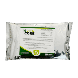 INvita CORE