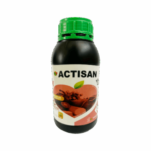 Actisan